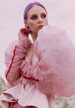 Load image into Gallery viewer, The Blood Set