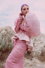 Load image into Gallery viewer, The Blood Set